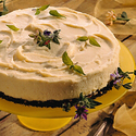 Wisconsin Mascarpone Cheesecake with Chocolate Pecan Crust